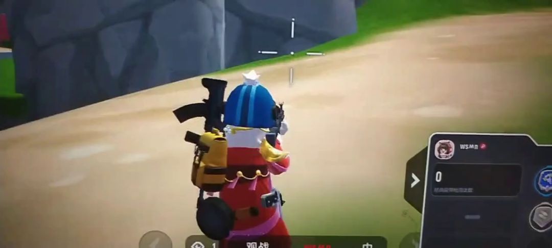 video-3015337