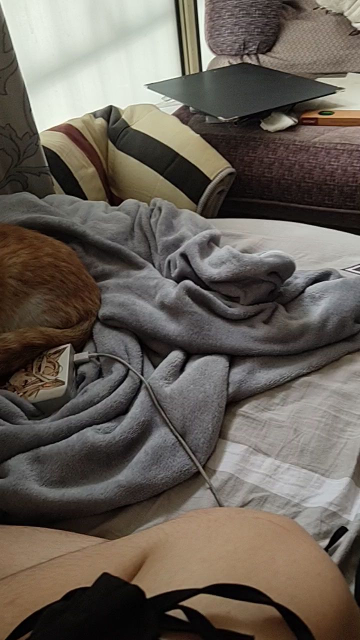 猫:多少带点味道截图