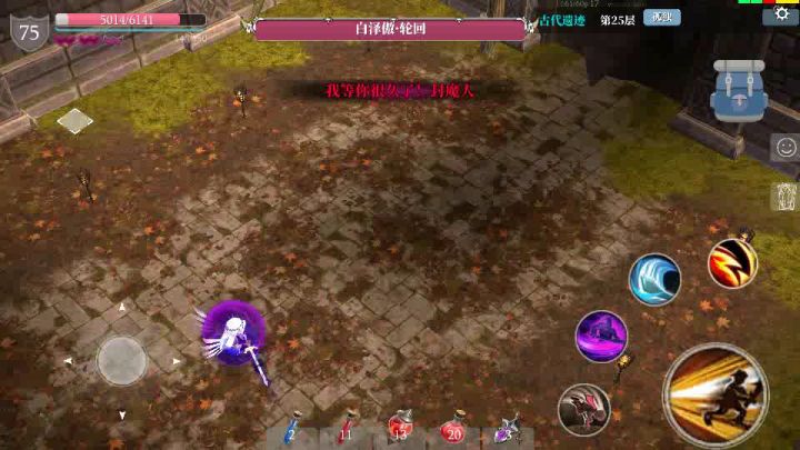 轮回BOSS全攻略（低强和不会打的可以看看，大佬无视） 5截图