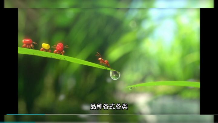 小小蚁国游戏体验分享截图