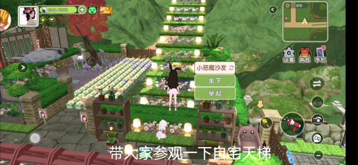 自宅里的天梯截图