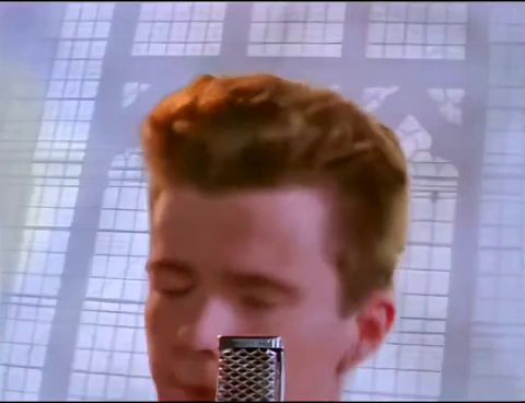 video-3039566