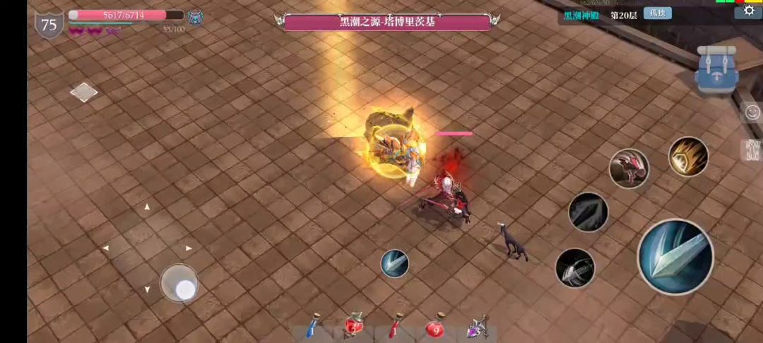 video-3038910