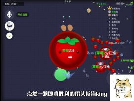 速通技战室丨藏球钓鱼，一学就会！ 2