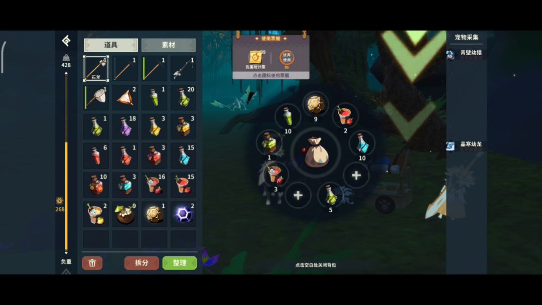 video-3052729