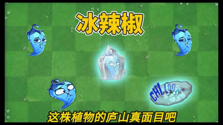 pvz2：寒冰辣椒测试版抢先玩！截图