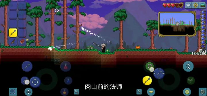 法师的一生,就这么简单。截图