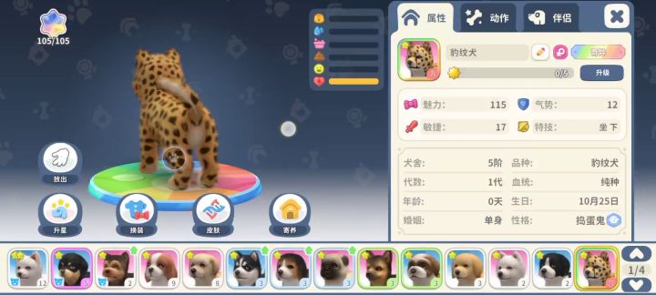 奇异狗狗我有啦!我最爱的豹纹截图