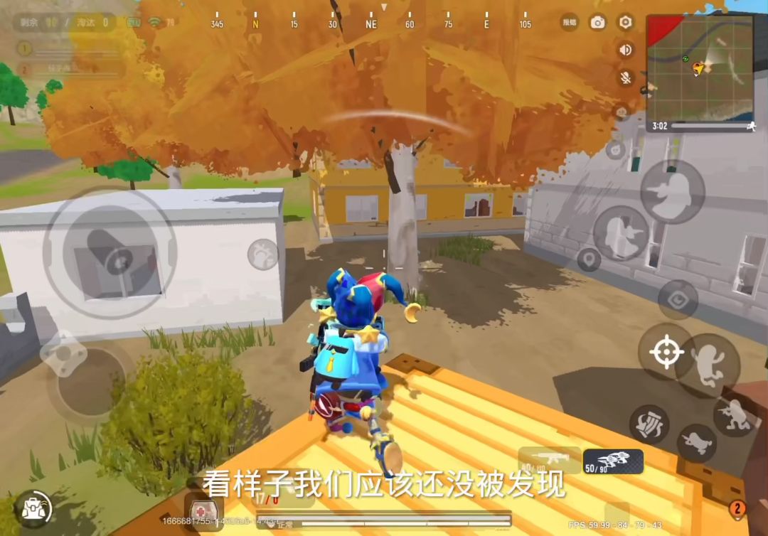 video-3062072
