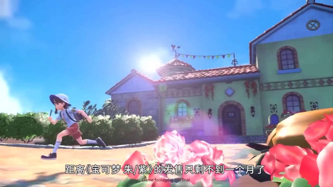 video-3063684