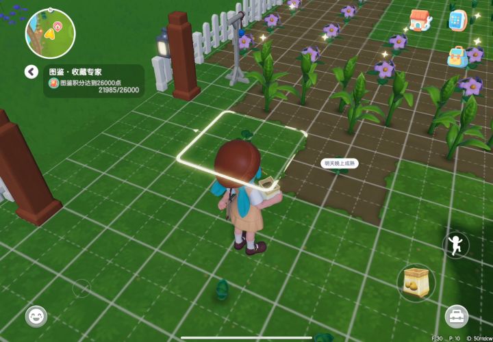院子种子种不上截图