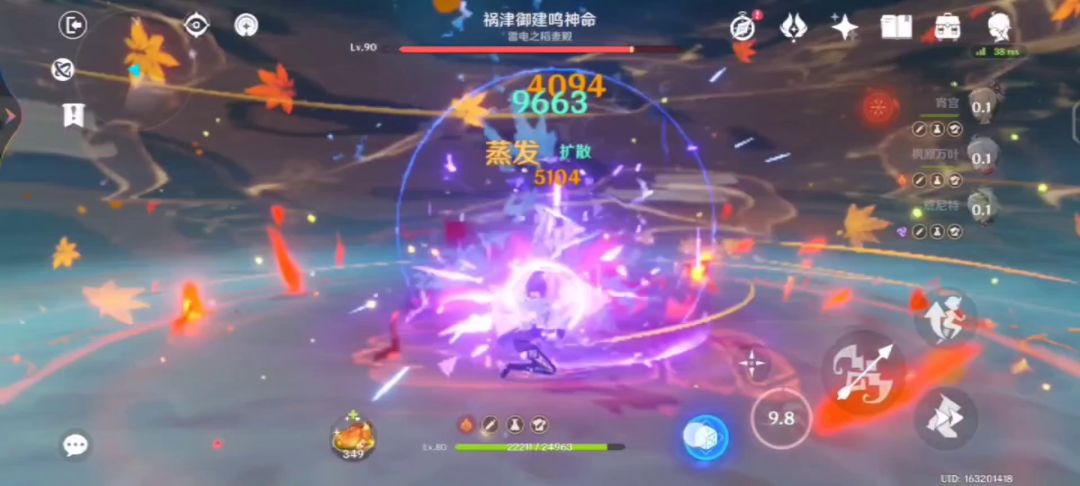 video-3065052