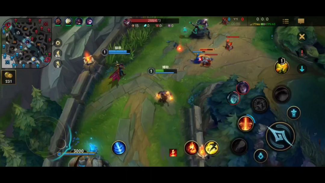 video-3065101