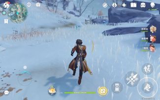 ？应该算是还适合新手的打愚人众的方式