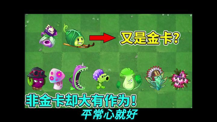 植物大战僵尸2:盘点非金卡的优秀植物!截图