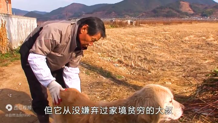 你个人都要珍惜自己的宠物截图