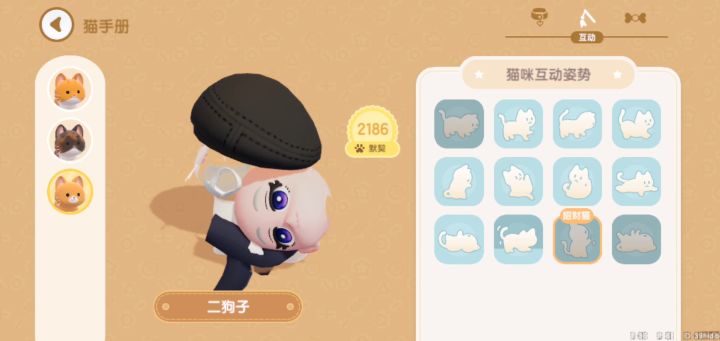 这个猫的服装还挺特别截图