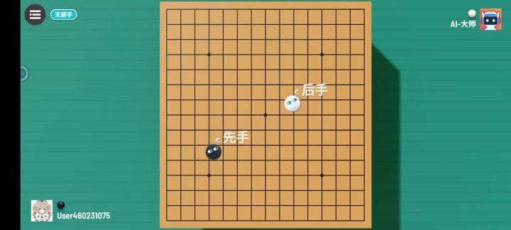 先手,后手过大师(无禁手)截图