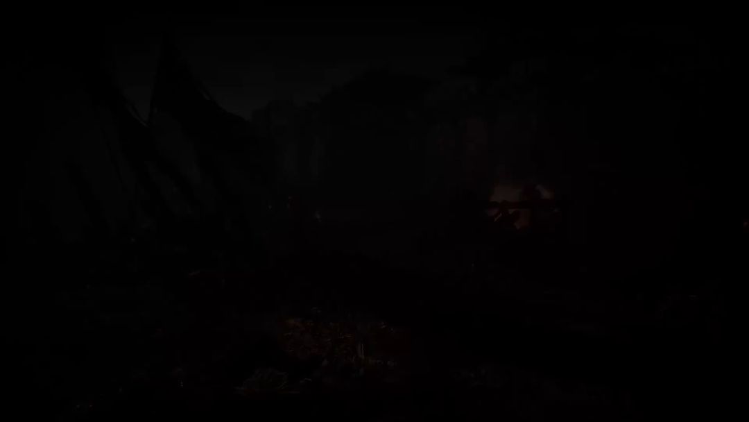 video-3086195