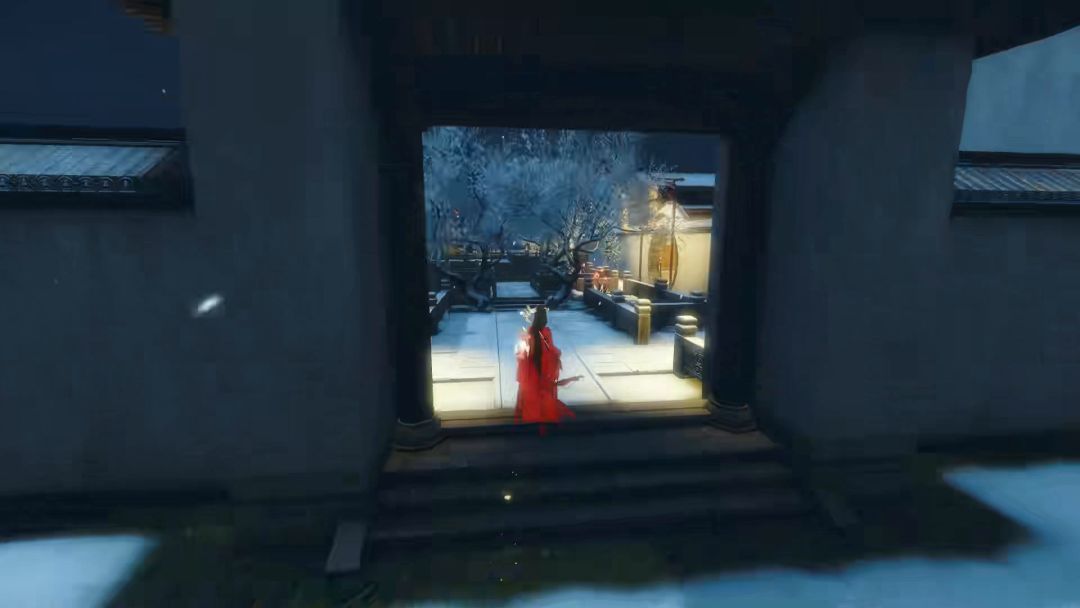 video-3089902