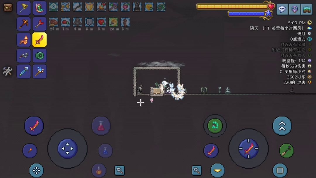 video-3090401