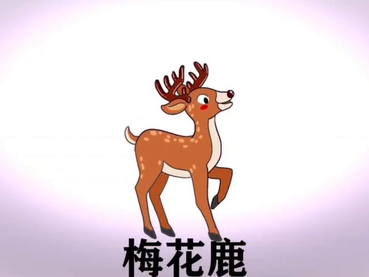 好好珍惜奇葩陪伴你的时光截图