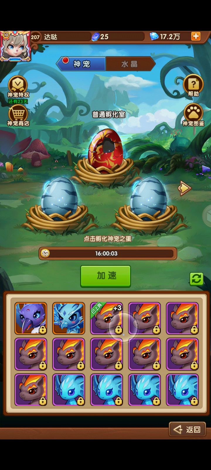 论开9红蛋无红宠的玄学概率截图