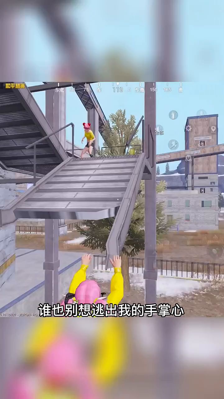 小熊猫憨憨的截图