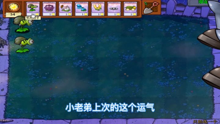 植物大战僵尸:用四十颗加特林挑战僵王小老弟截图