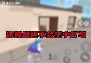 变强身法合集《空中打鸟》