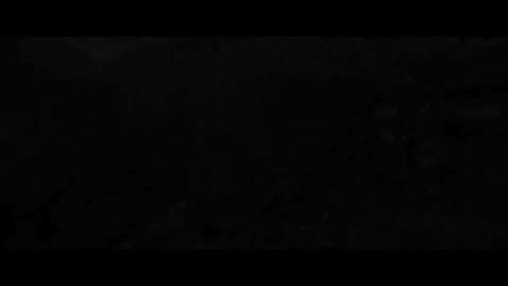 篝火新闻汇：《宝可梦 朱/紫》五分半中文介绍视频公开；《使命召唤：战区 2.0》最新发售视频公开截图