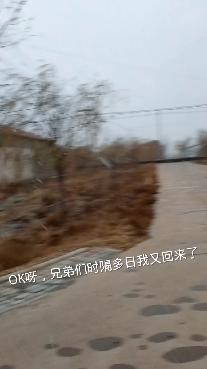 我要1000糖果黄金季票，IDi03oly截图