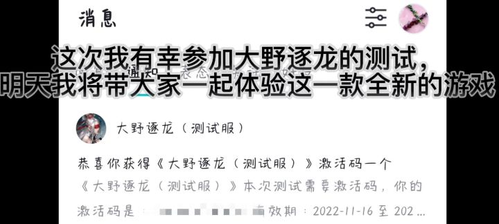 大野逐龙国风新型类战旗手游截图