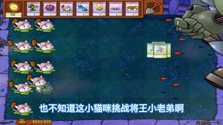 植物大战僵尸:四十颗猫尾草挑战僵王小老弟截图