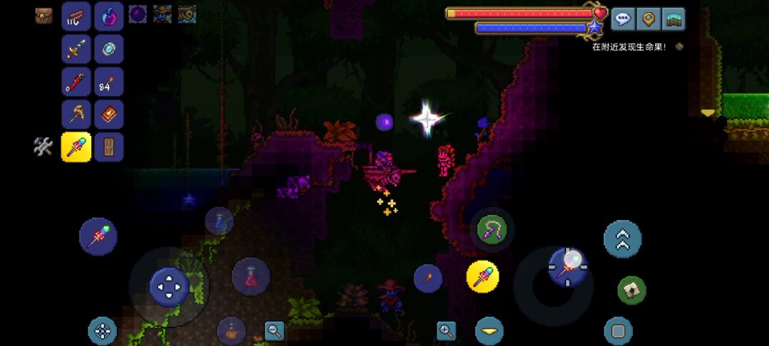 video-3114737