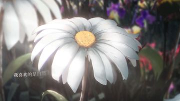 （已开奖）《宿命回响：弦上的叹息》奏者情报[卡农] - “和畅的惠风”