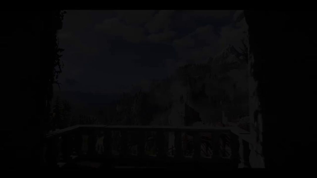 video-3124449