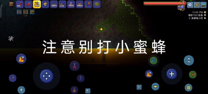泰拉瑞亚低配置肉前boss攻略——蜂王篇 3截图