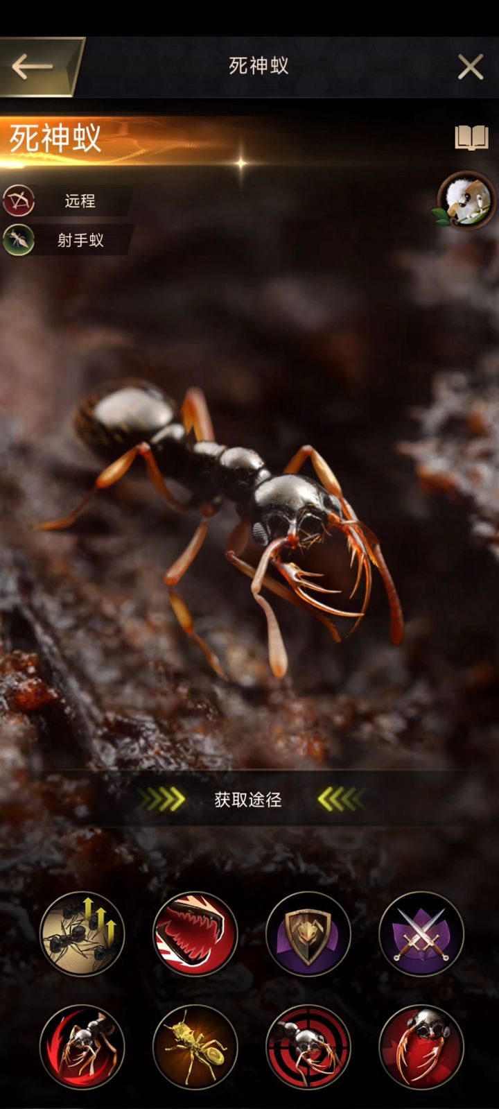 【小小蚁国】新特化蚁截图