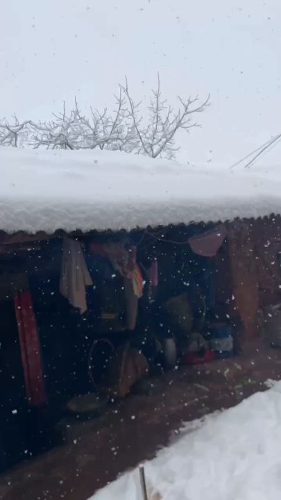 下雪的日子要到了截图