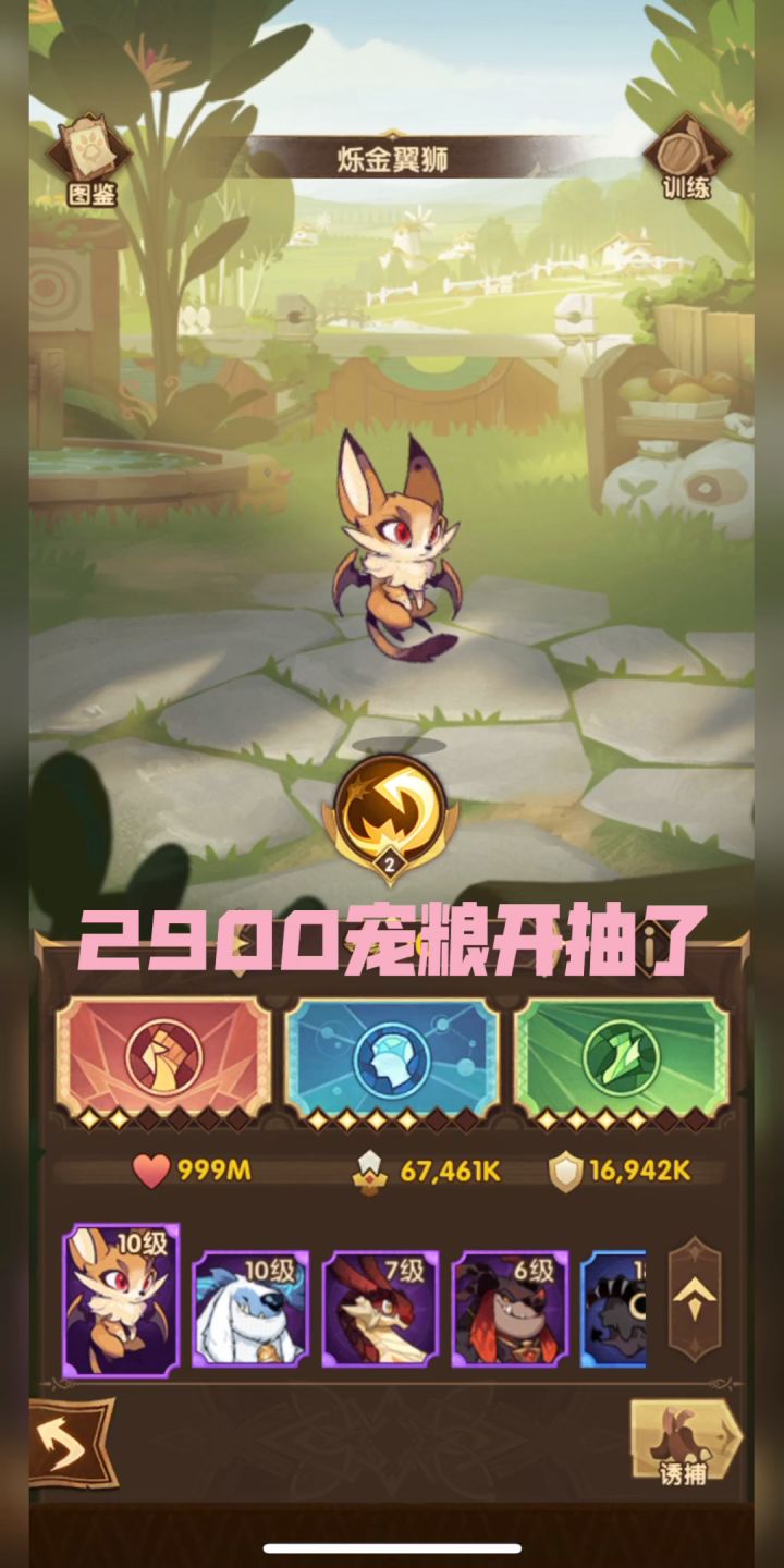 12级金狮我来了,最难受的结果2900宠粮缺1。截图