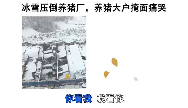 心碎玩家之歌 好活还是烂活？截图