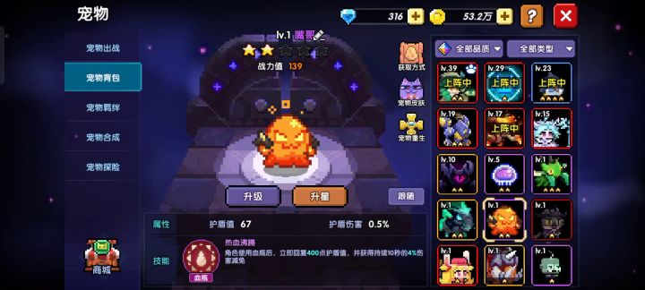 终于把小号所以宠物的名字打完了，，，截图