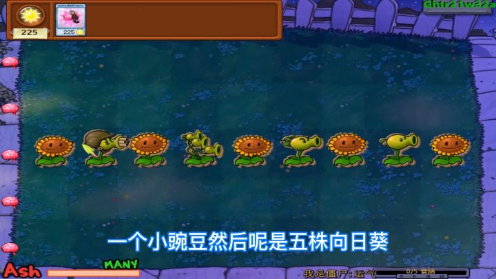 植物大战僵尸：一次机会、一排植物，这难吗？看上去不难！截图