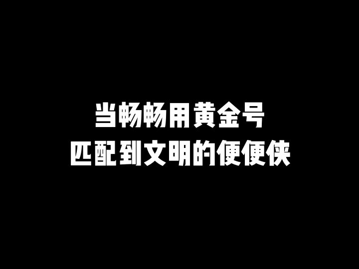 当畅畅用黄金号匹配到文明的便便侠截图