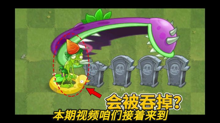 Pvz2流言终结者 大嘴花能吞掉豆腐僵尸吗?截图