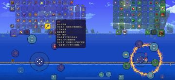 肉后代弓双箭袋鲨猪