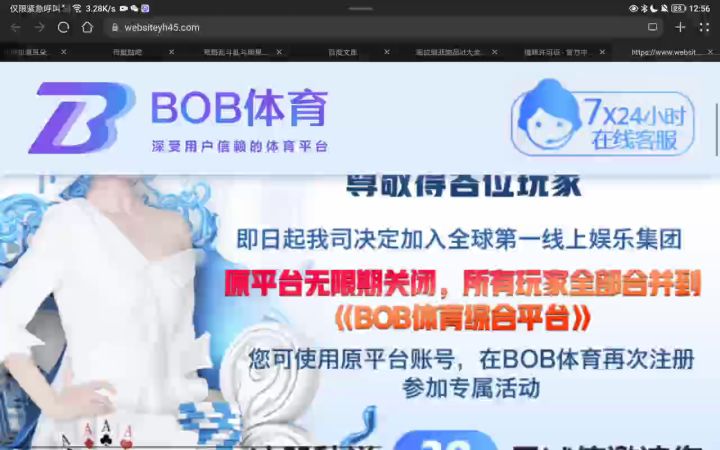 泰拉wiki点开了这是什么鬼玩意截图