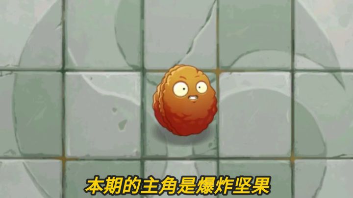 Pvz2植物测评 4阶的爆炸坚果伤害爆炸吗?截图