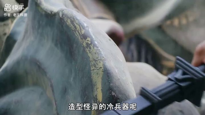 (*^ω^*)怪异的冷兵器截图